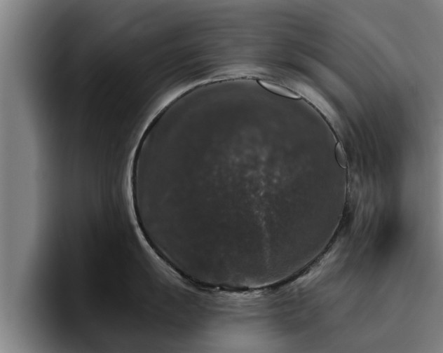 X0000094941055200712061227