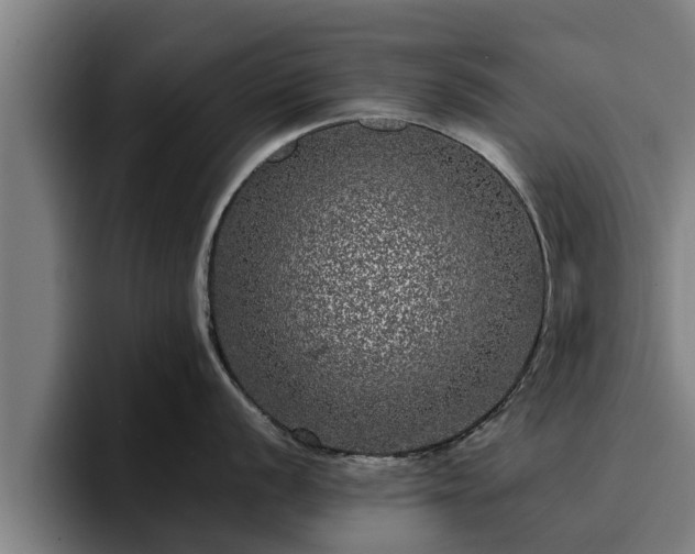 X0000094941056200712061227