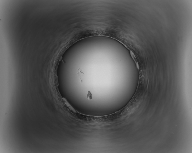 X0000094941057200712061227