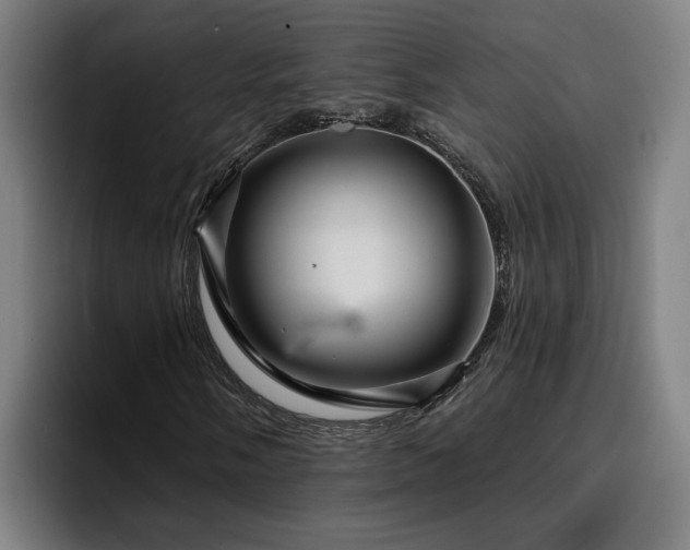 X0000094941058200712061227