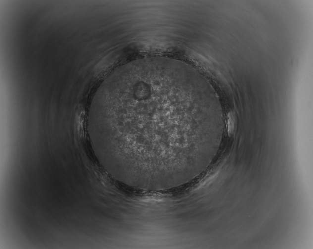 X0000094941059200712061227