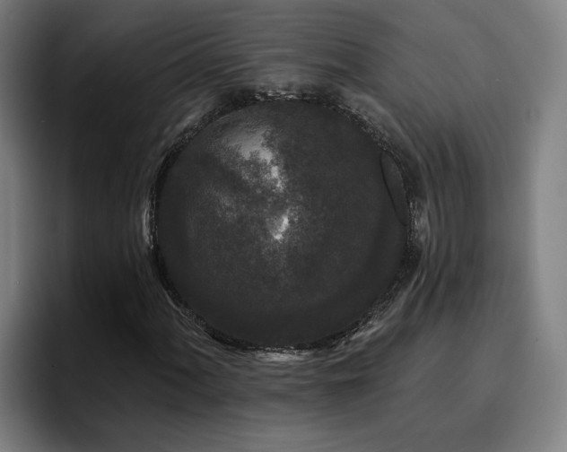 X0000094941060200712061227