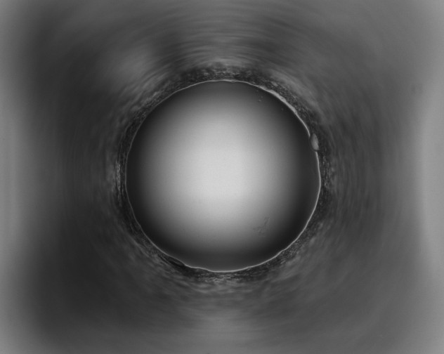 X0000094941061200712061226