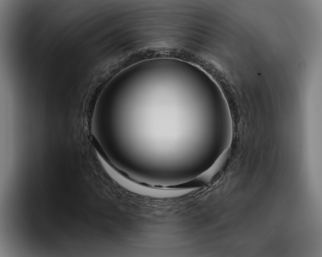 X0000094941062200712061226