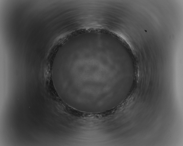 X0000094941063200712061226