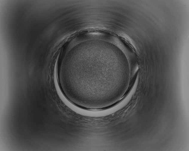 X0000094941064200712061226