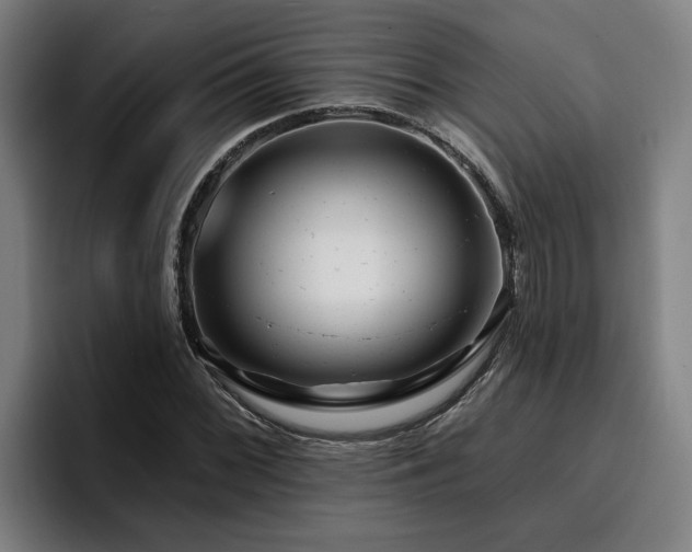 X0000094941068200712061226