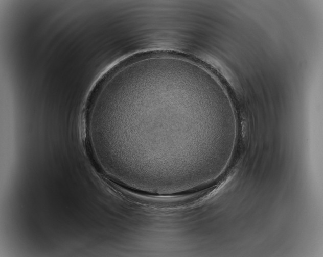 X0000094941069200712061226