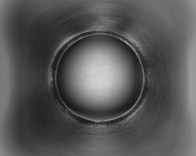 X0000094941070200712061226