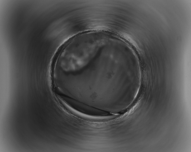 X0000094941071200712061226