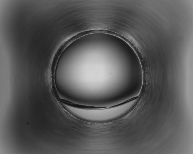 X0000094941072200712061226