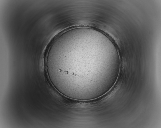 X0000094941075200712061226