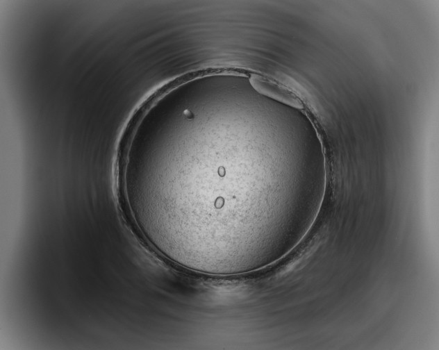 X0000094941076200712061226