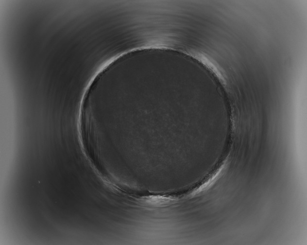 X0000094941077200712061226