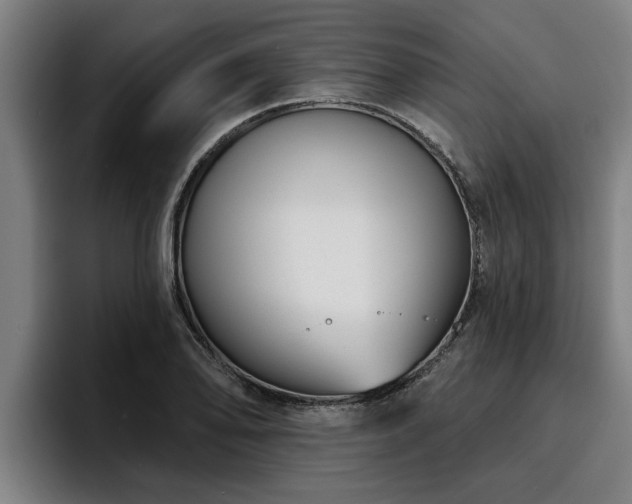 X0000094941078200712061226