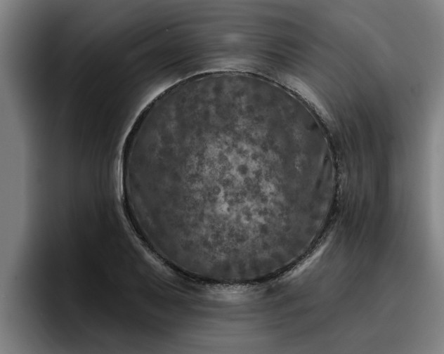 X0000094941079200712061226