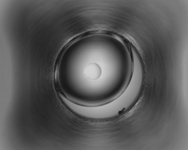 X0000094941081200712061226