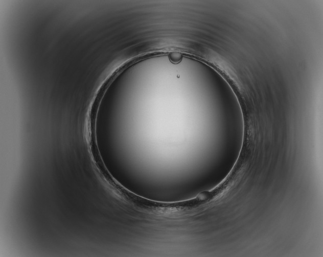 X0000094941082200712061226