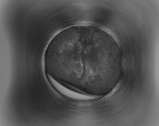 X0000094941083200712061226