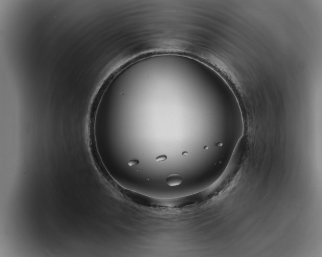 X0000094941085200712061226