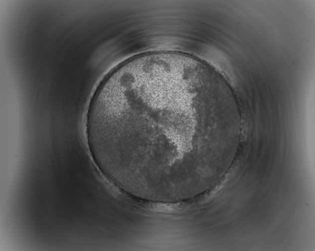 X0000094941086200712061226