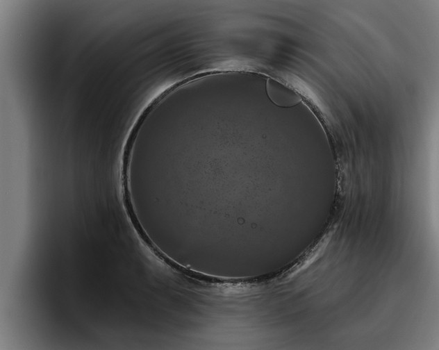 X0000094941087200712061226