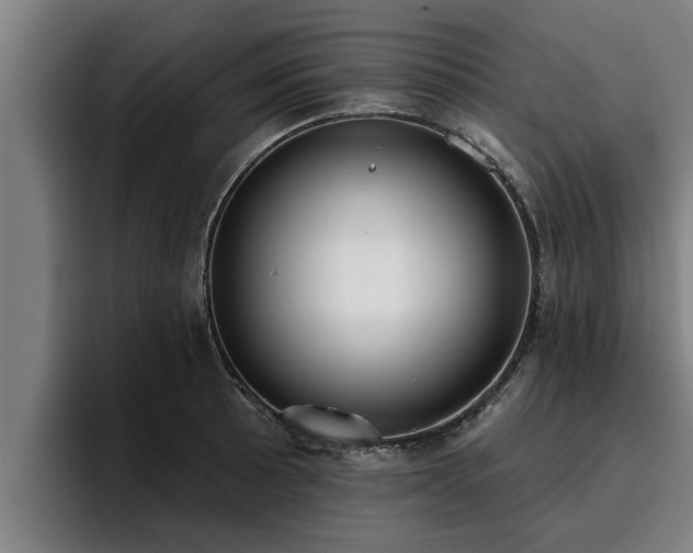 X0000094941089200712061226