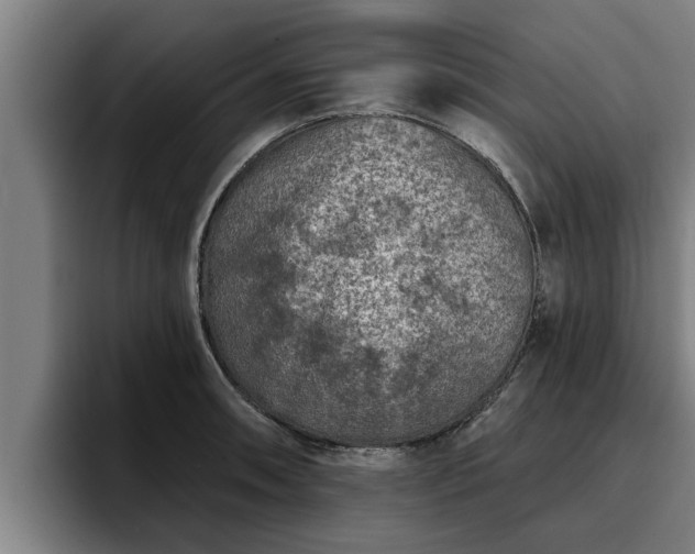 X0000094941090200712061226