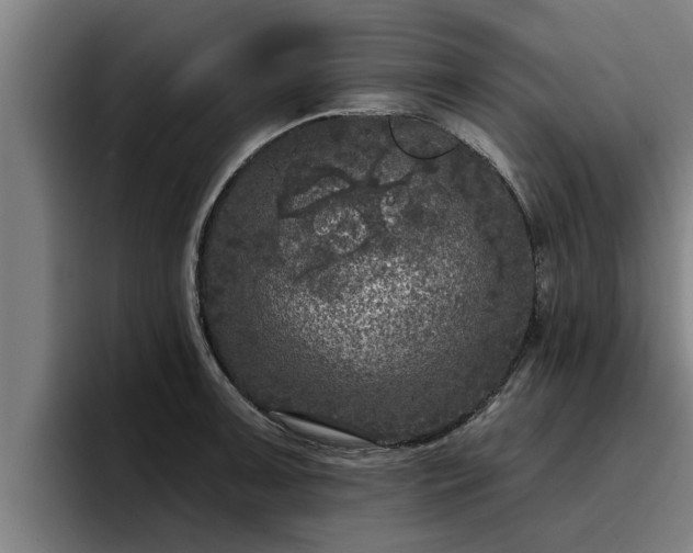 X0000094941091200712061226