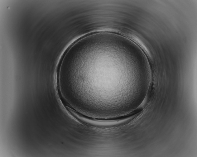 X0000094941092200712061226