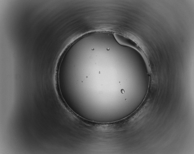 X0000094941093200712061226