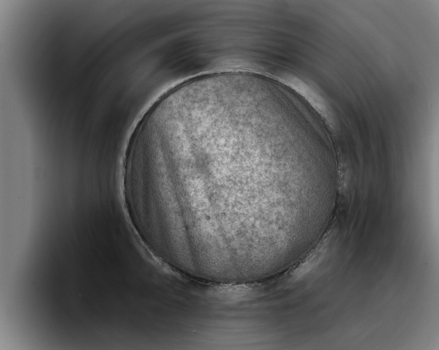 X0000094941094200712061226