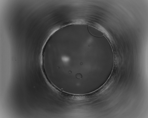 X0000094941095200712061226