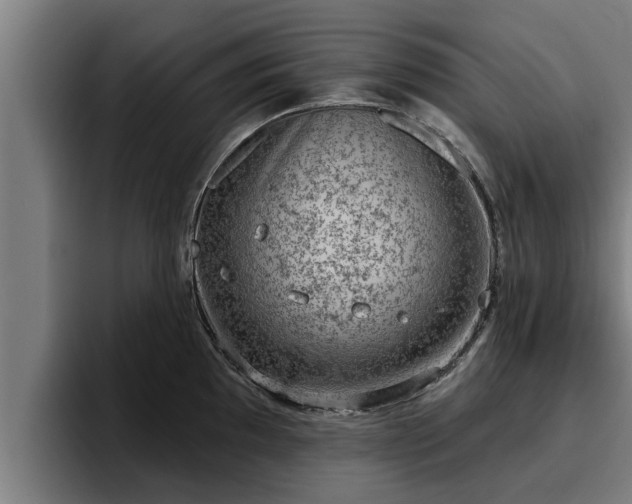 X0000094941097200712061226