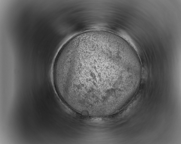 X0000094941098200712061226