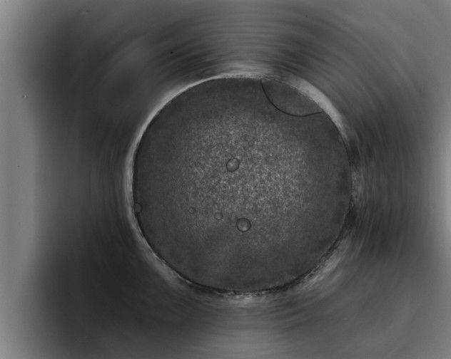 X0000094941099200712061226