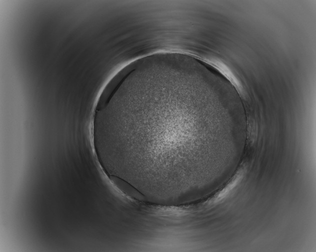 X0000094941100200712061226