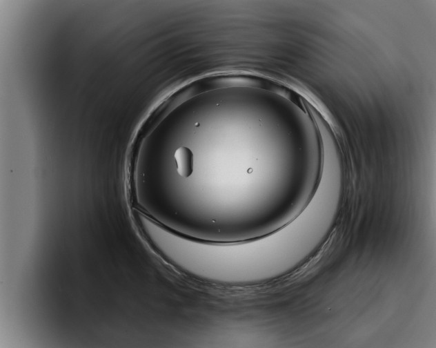 X0000094941101200712061226