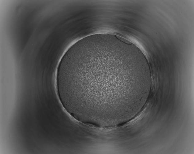 X0000094941103200712061226