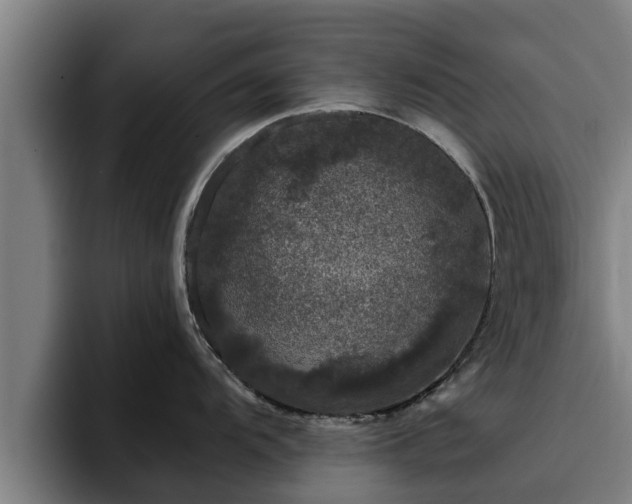 X0000094941104200712061226