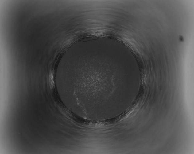 X0000094941106200712061225