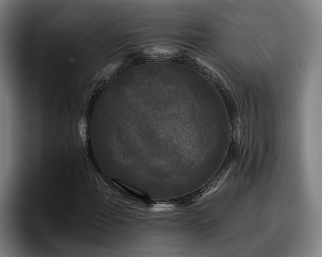 X0000094941108200712061225