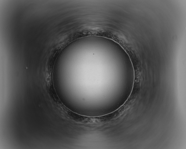 X0000094941109200712061225