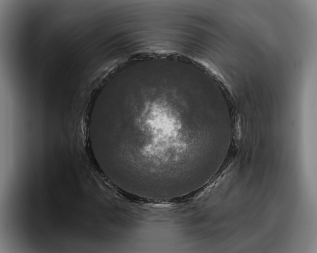 X0000094941110200712061225