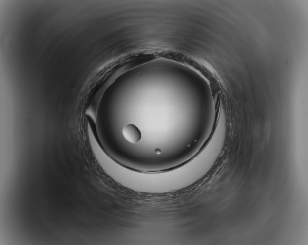 X0000094941112200712061225