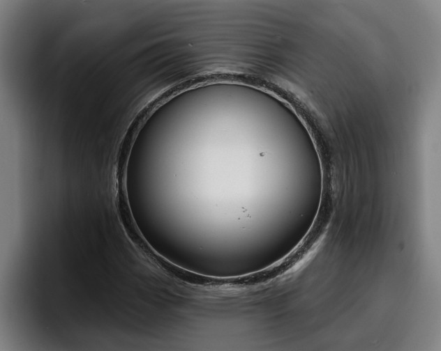 X0000094941113200712061225