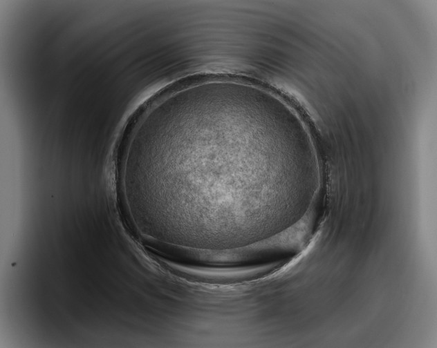 X0000094941114200712061225