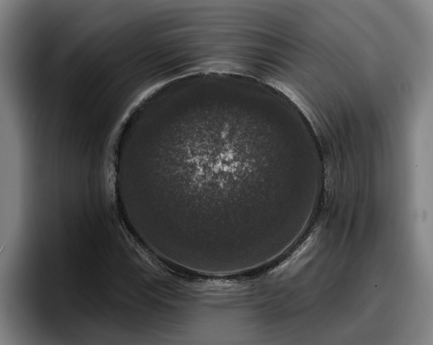 X0000094941115200712061225