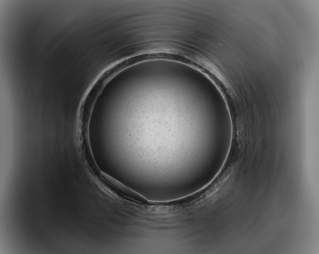 X0000094941116200712061225