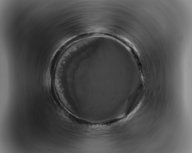 X0000094941117200712061225